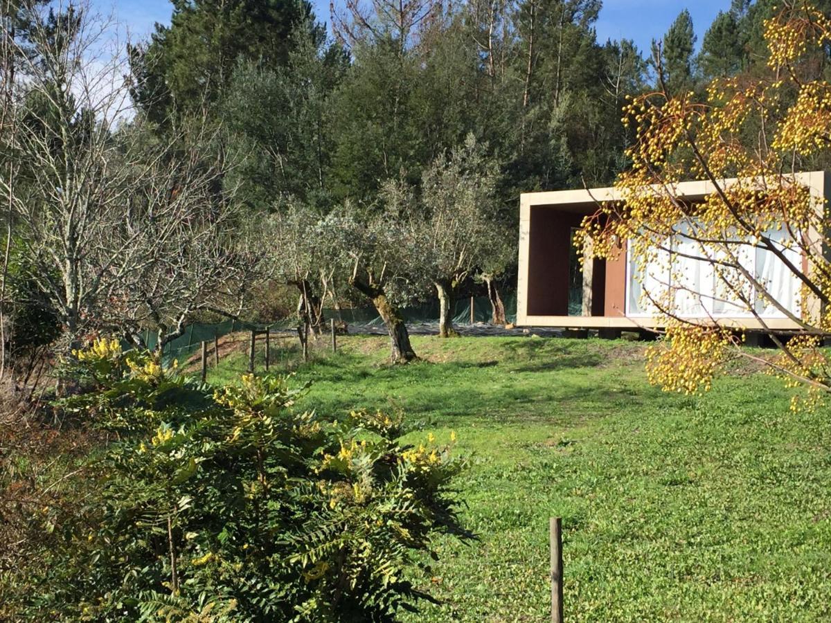 Adore Portugal Bungalow Natureza & Vista De Serra Lousã Exteriör bild