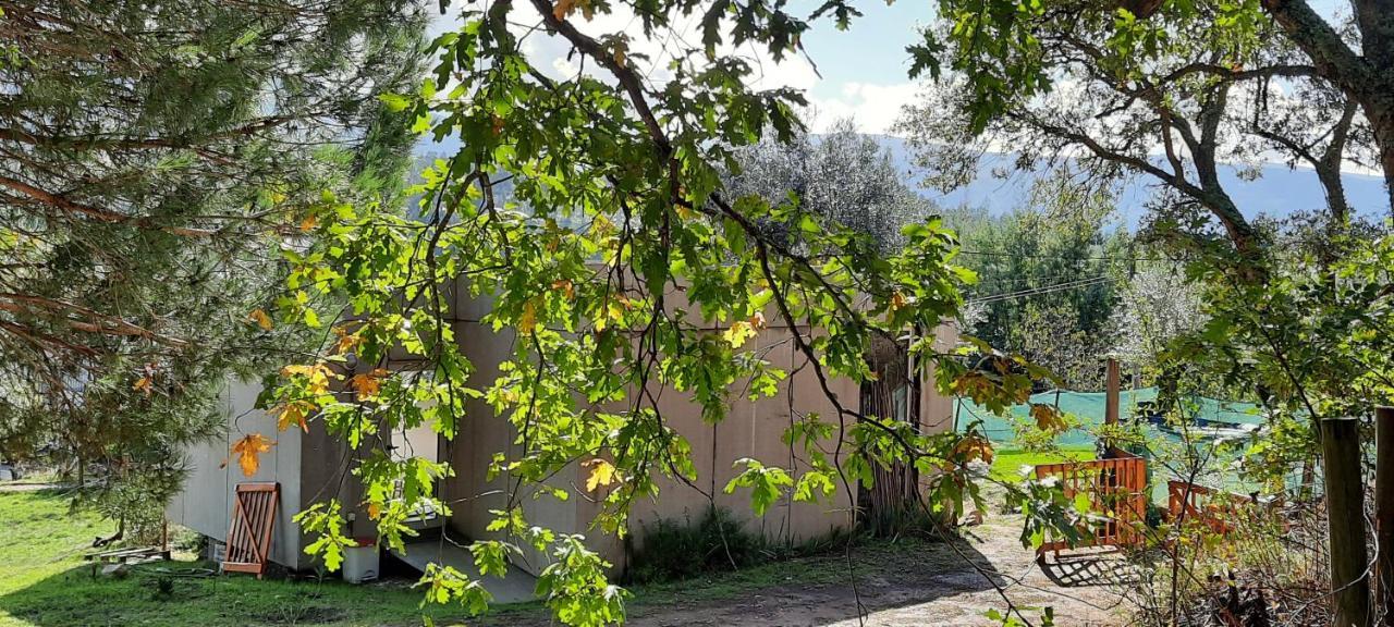 Adore Portugal Bungalow Natureza & Vista De Serra Lousã Exteriör bild